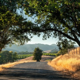 Bakersfield Civil Engineering, Bakersfield Civil Engineer