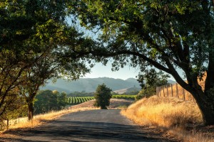 Bakersfield Civil Engineering, Bakersfield Civil Engineer